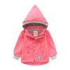 Baby und Mädchen Jungen einfache mit Wasserpoart ausgekleidete Kapuze-Zip-Jacken Schulkinder Trackschichten Kinder-Outfit Tops Windbreaker 2-11yr