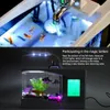 Mini acquario di pesce con lampada a led Porta della penna leggera USB Acquari BETTA SCHETTRO LCD Schermata di display LCD e Orologio Acquario