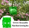 1/3/5/Pcs Plant Root Ball Green Root Graft Growing Box Breeding Case Plant Root Device Layer Pod High Pressure Balls for Garden