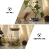 Vasos Cork garrafa de vidro Diy Crafts Mini plantas artificiais Bubble Bowl Storage Jar Alto Borossilicato Recipientes de Viagem por atacado
