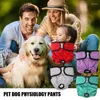 Dog Apparel Female Diapers 4Pcs Washable Reusable Diaper With Adjustable Design Waterproof Pets Underwear Pet Supplies