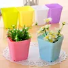 10pcs mini quadrado plástico planta vaso de flores em casa decoração plantador colorido com panelas bandejas verdes vegetais artificiais wyq