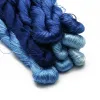 20 mètres / pièce 8 Couleur de série 100% Silk Fleurie Fleurie Thread Silk Floss Skein Cross File Fil de couture à main