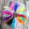 Plumes Peru Feathers 4-6 polegadas 10-14 cm de frango plumas peru marabou penas para jóias que fazem decoração de artesanato diy 50pcs