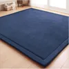 Dicke 3 cm Koralle Vlies Samtmatte Schlafzimmer Teppich Baby Spiel Matte Wohnzimmer Bettteppich Großgröße Kindermatte