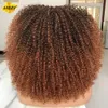 前髪のショートアフロカーリーウィッグ合成アフリカンの魅力的なふわふわブラックブラウンカーリーレディースウィッグ240402