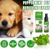 Spray de óleo de hortelã -pimenta para insetos de pulgas profissionais e controle de carrapato 60 ml ingredientes universais de spray de spray de hortelã para cães gatos