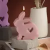 Schattige konijn dieren kaarsen epoxy siliconen schimmel diy ambachtelijke gipsauto gemonteerde wierook groeiende paashuisdecoratie