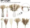 Fiori decorativi Pampas Grass 85pcs Tail Natural Preservad Preserved Bouquet Decorazione di nozze per decorazioni per feste di boho fai -da -te decorazioni per feste