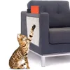 Gato de animais de estimação pós -quadro gatos gatos scratch ta ta taça de tape