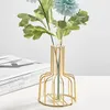 Vases Metal Flower Stand Vase Creative Desktop Decor For Apartment Home Glass Flowers Rose Single