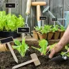 10pcs Mini Bitki Etiketleri Ahşap Tahta Karayolu İşaretleri Saksı Tohumu Porsuk Otlar Sebzeler Bitki Etiketi