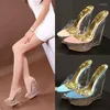 Sandali 2024 Summer Ultra-High High Transparent Profile Profile Crystal Platform Platform Implesso da 15 cm Donne's Women's