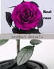 1pc A vida eterna natural aumentou na cúpula de vidro na base de madeira preservada rosa real para o dia dos namorados para presente de casa decoração de casamento