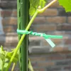 Rolketu Garden krawat z torbą plastikowe linia wiązania drutu rośliny kwiat ogórka winogron Rattan Holder Greenhouse Garden