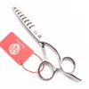 Professionella husdjursax 6 "JP 440C Glänsande hundsax Staka SHARS THINNING SHEARS GROOMING SEXORS FISK BEN TOTHET Z9022