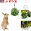 Hot 8cm pour animaux de compagnie Disenseur Pet Toys Creative Guinée Pig Hamster lapin sphère suspendue Grass Hay Ball Ball Pet Toys Nouveau Arrivée