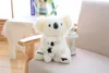 Bambole peluche carine australiane koala bambola peluche giocattolo koala riempimento bambola super morbido regalo regalo per bambini decorazione della camera sagom sa1265 j240410