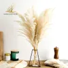 Pampas Grass Decor Biały kolor puszysty naturalne suszone kwiaty Biegły bukiet boho vintage styl na wesele dom do domu świąteczny 22110