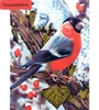 Oljemålning av siffror Bird Animal Kit Ritning Canvas Handpanted DIY Pictures Art Vacker målning av siffror Handmålad PAI3412874