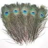 10/20pcs/Lot Natural Peacock Feathers Home Wedding Plumas plumas for table centerpices excalies handicraft accessories 25-30 cm