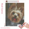 Huacan Dog Diamond Painting Animal Cross Stitch Wandaufkleber Full Drill Stickerei Mosaic Yorkshire Terrier Diamond Kunst