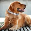 Grave Yansıtıcı Köpek Yakası Özel Deri Evcil Hayvan Yakaları Küçük Orta Büyük Evcil Hayvanlar İçin Kedi Kimlik Etiketi Tel NO. Zincirler Köpek Hediyesi