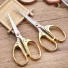 1PC Student Ciseaux professionnels Cutter Cutter Tailor's Scissors Household Stationery Office Office Outils pour les ongles de bricolage