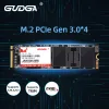 Drijft Gudga SSD NVME M2 1TB 512GB 256 GB 128 GB PCIE 3.0X4 SSD NVME Interne vaste toestand Disk Hard Disk voor pc -laptopcomputer