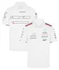 2024 F1 Team Racing T-shirt Formule 1 Driver T-shirt Polo shirt Nieuwe seizoensauto fans Casual Jersey Tops Summer Mens Clothing T-shirt