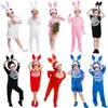 Dantel Deco Pet Bunny Tavşan Kostüm Çocuklar İçin Çocuklar İçin Yetişkin Cosplay Hayvan Cadılar Bayram