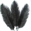 Belo Avestruz Feather 10 PCS Comprimento de penas de 6 a 8 polegadas / 15 a 20 cm de casamento para decorar uma variedade de cores opcionais