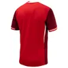 Canada Jersey Awayhome Copa America 2024 Soccer Jersey Football Shirt