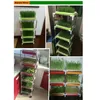 Plastic kinderdagverblijfpotten Zaad Sprouter Tray PP Bodemvrije tarwe-tarwe groeier Seedling Tray Sprout Plate Groer Tray System