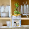 Akryl Fish Tank Fish Grönsaker Symbiotiskt gratis vatten Desktop Aquarium Office Desk Transparent Fish Bowl Originalitet