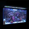 30-120 cm Lampada di illuminazione a LED Aquarium Piantata Lampada a pianta di pesce multicolori per piante per pianta di coltivazione a LED LAMPA