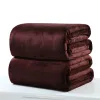 Coperta corallo in flanella semplice foglio di pile piccolo super caldo solido micro peluche in pile di pile divano tappeti divano forniture per biancheria da letto