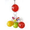 1 PC Färgglad boll Parrot Bird Parakeet Bite Climbing Play Hanging Toy Pet Cage Decor