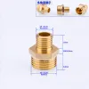 1 Piece Brass Copper Adapter G 1/8'' 1/2" 3/4" 1" Male Thread Durable Outer Wire Connector Garden Irrigate Water Pipe Fittings