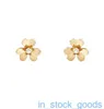 Édition Seiko Brand de boucles d'oreilles Vancefe Mini boucles d'oreilles de trèfle pour femmes 925 Sterling Silver plaqué 18k Gold Glossy Face Designer Brand Logo Gentrave Earge