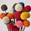 1~2CM/2~3CM Head,Length:40CM,Multicolor Decorative Flower Balls,Natural Dried Flowers Maple Fruits With Artificial Wire Pole