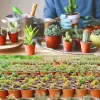 100pcs 4インチ植え付けポット植物植物植物植物植物植物植物植物植物植物と花の苗木を移植するための100pcs