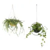 Nordic Style Circle Metal Plant Hanger Chain Hanging Basket Ceiling Planter Flower Pot Holder Garden Balcony Decoration