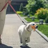 Colarinhos de cachorro focinhos de boca para cães treinando cachorrinho colarinho de cabeceira de tração líder de focinho sem tiras de tração