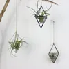 freestanding Hanging Planters Decorative Swinging Flower Basket Tillandsia Air Plants Holder Triangular Shaped Metal Rack