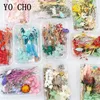 Yo Cho 1 Box Mix Real Fresh Drooged Flower Natural Floral for Art Craft Scrapbooking Resin Sieraden Craft Making Epoxy Mold Filling