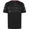 F1 2024 Drużyna T-shirt Formuła 1 Racing Polo Shirt T-shirt Race Sports Nowy sezon Ubranie letnich samochodów fanów męskie koszulka koszulka