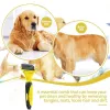 Beepaw Safe Dog Dematting Peigt Pet Pet Hair Brush Tooming 2 siares
