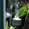 Ställ in CO2 -diffusor Atomizer Regulator Reactor for Fish Tank Aquarium Plant Moss