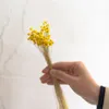 50st/Bouquet Star Chrysanthemum Torkad Flower Mini Daisy Floral Arrangement Material DIY Shooting Props Home Party Decoration